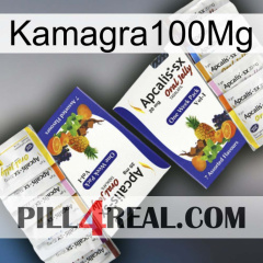 Kamagra100Mg 12